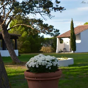 Mas Mls , Les Saintes-Maries-de-la-Mer France